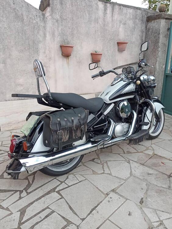 Kawasaki VN 800 Drifter (1999 - 00) (5)