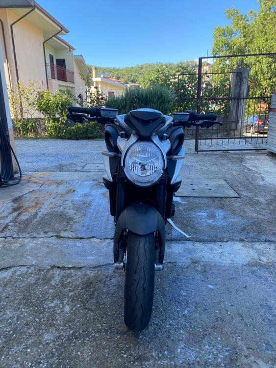 MV Agusta Brutale 800 EAS ABS (2016 - 19) (5)