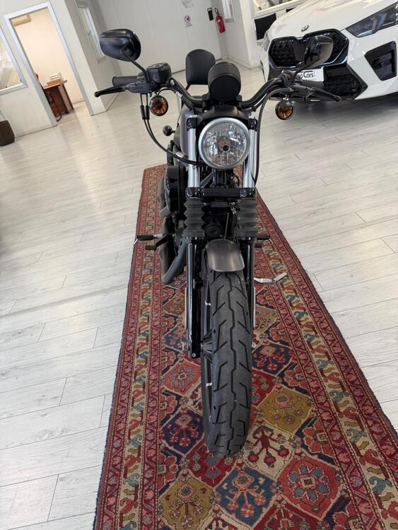 Harley-Davidson 883 Iron (2017 - 20) - XL 883N (4)