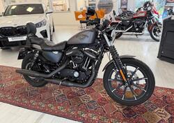 Harley-Davidson 883 Iron (2017 - 20) - XL 883N usata