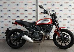 Ducati Scrambler 800 Icon (2017 - 20) usata