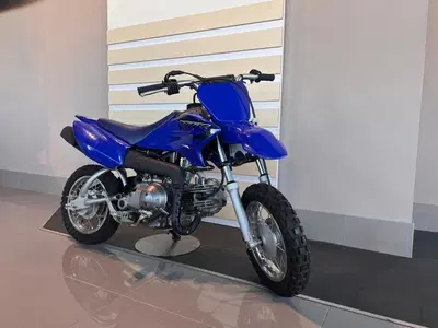 Yamaha TT-R 50 (2023) usata