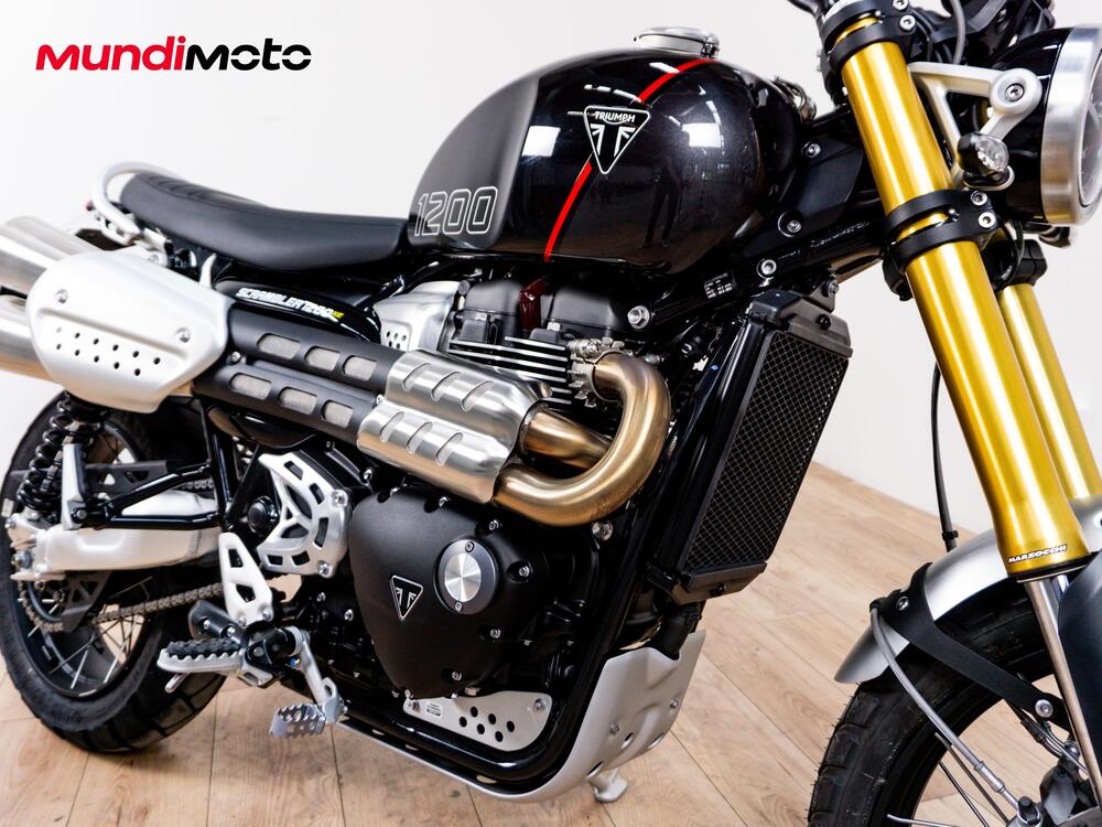 Triumph Scrambler 1200 XE (2026) (5)