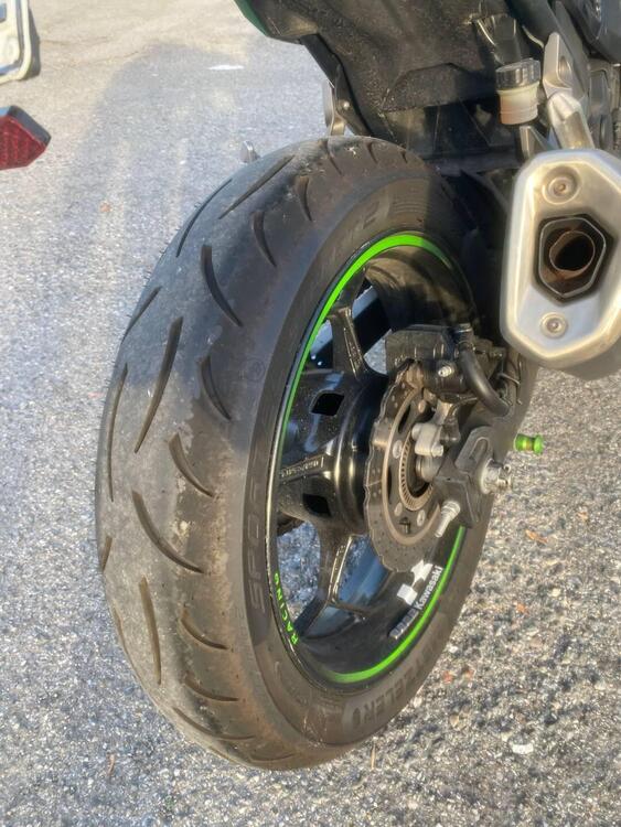 Kawasaki Z 300 ABS (2015 - 16) (5)