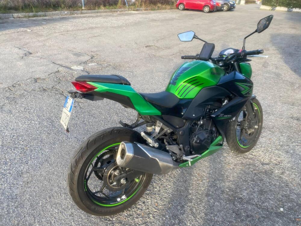 Kawasaki Z 300 ABS (2015 - 16) (4)