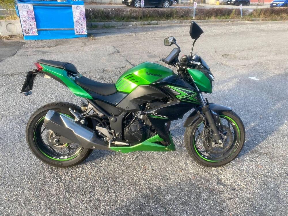 Kawasaki Z 300 ABS (2015 - 16)