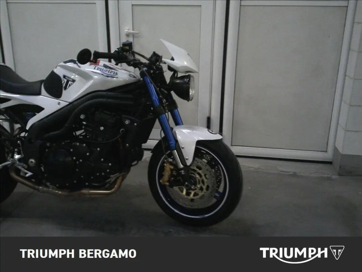 Triumph Speed Triple 1050 (2005 - 11) (8)