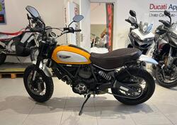 Ducati Scrambler 800 Classic (2015 - 16) usata