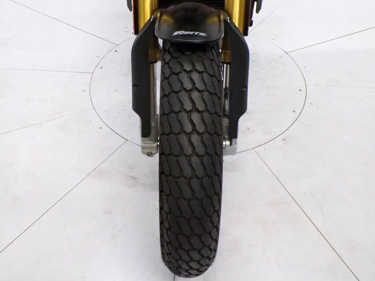 Fantic Motor Caballero 500 Flat Track (2018 - 21) (12)