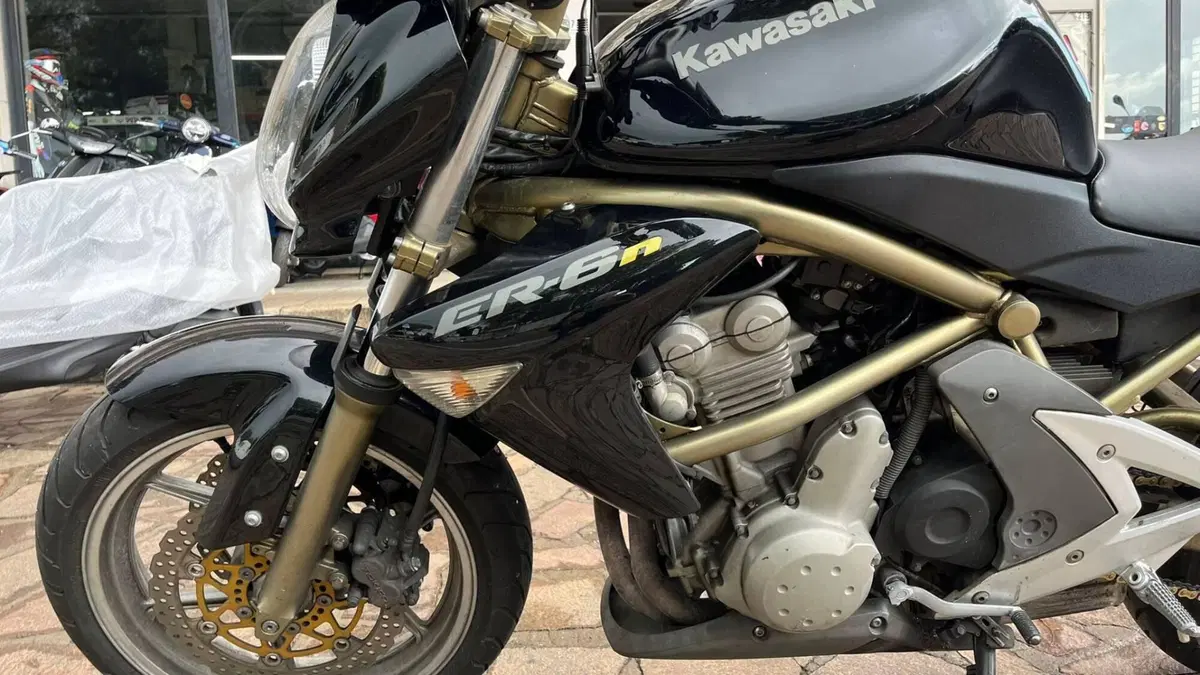 Kawasaki ER-6N (2005 - 08) (2)