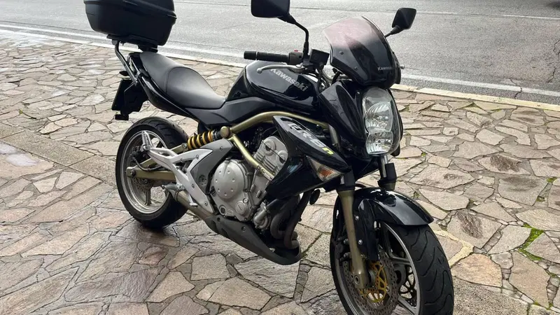 Kawasaki ER-6N (2005 - 08) (3)