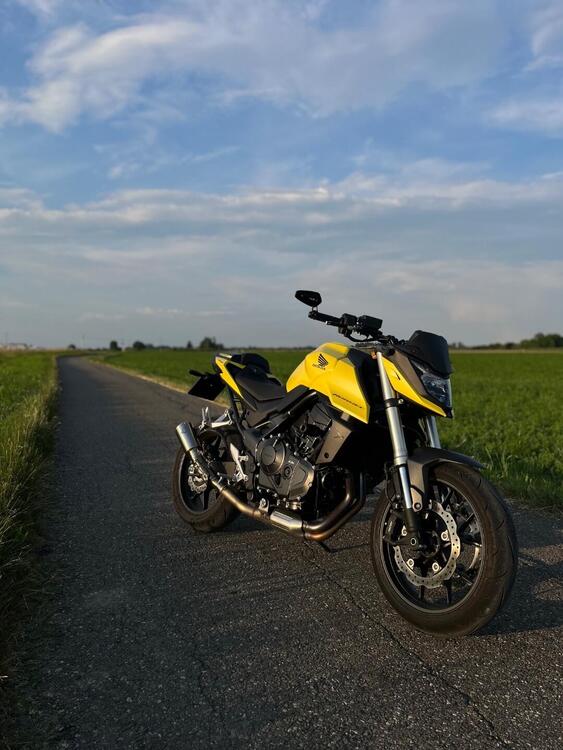 Honda CB 750 Hornet (2023 - 24) (5)