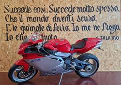 MV Agusta F4 1000 S 1+1 (2004 - 06) usata