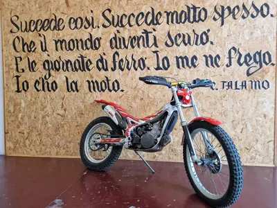 Betamotor REV-3 250 (2002 - 05) usata