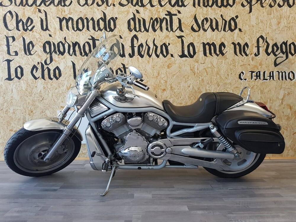 Harley-Davidson 1130 V-Rod (2002 - 05) - VRSCA