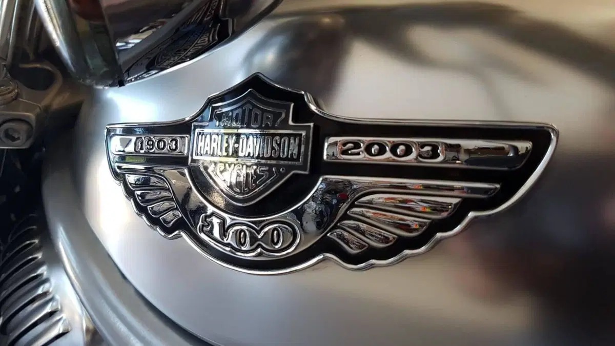 Harley-Davidson 1130 V-Rod (2002 - 05) - VRSCA (10)
