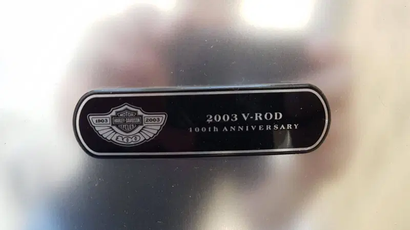 Harley-Davidson 1130 V-Rod (2002 - 05) - VRSCA (11)