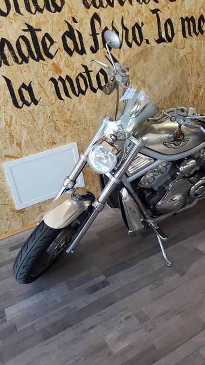 Harley-Davidson 1130 V-Rod (2002 - 05) - VRSCA (4)