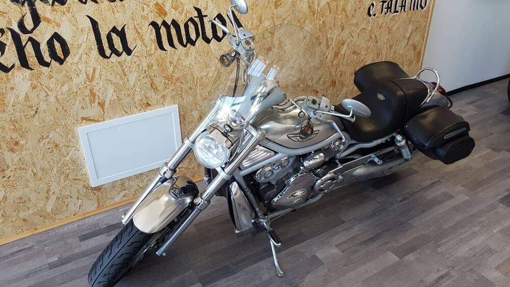 Harley-Davidson 1130 V-Rod (2002 - 05) - VRSCA (2)