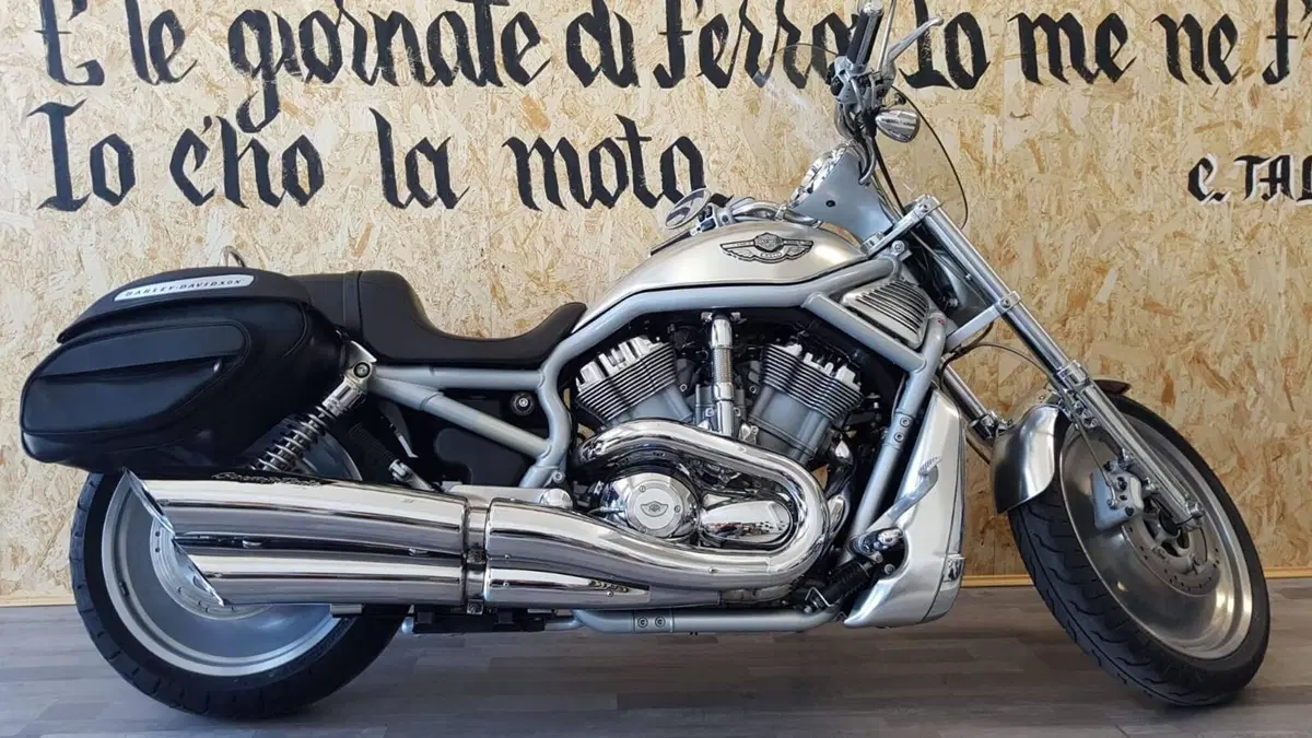 Harley-Davidson 1130 V-Rod (2002 - 05) - VRSCA (3)