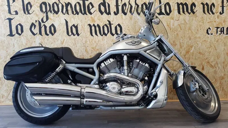 Harley-Davidson 1130 V-Rod (2002 - 05) - VRSCA (3)