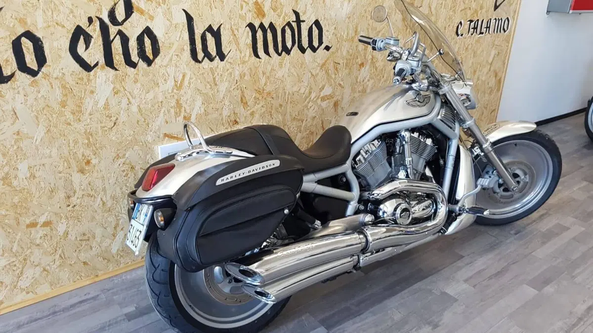 Harley-Davidson 1130 V-Rod (2002 - 05) - VRSCA (5)