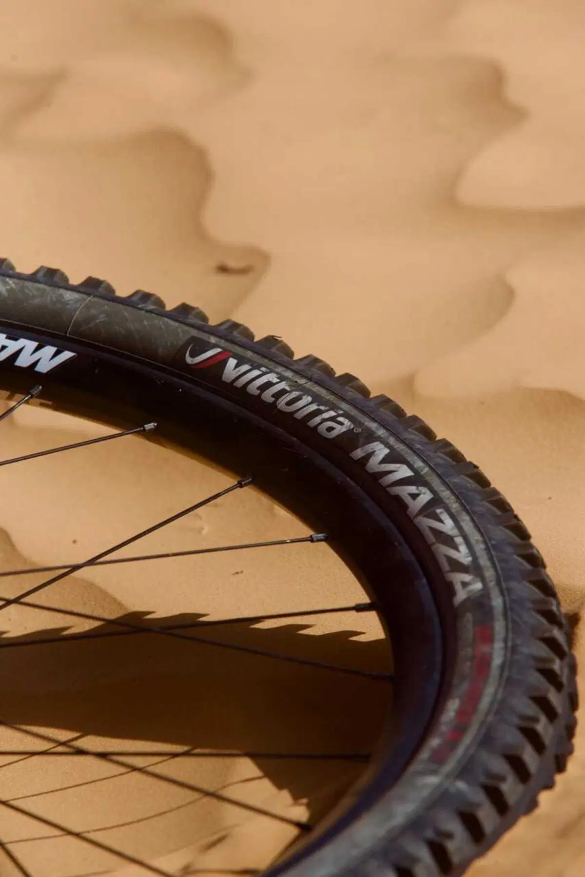 Tembaine Desert Rally 2025, prima tappa: vento contrario e batterie al limite verso Ksar Ghilane (43)