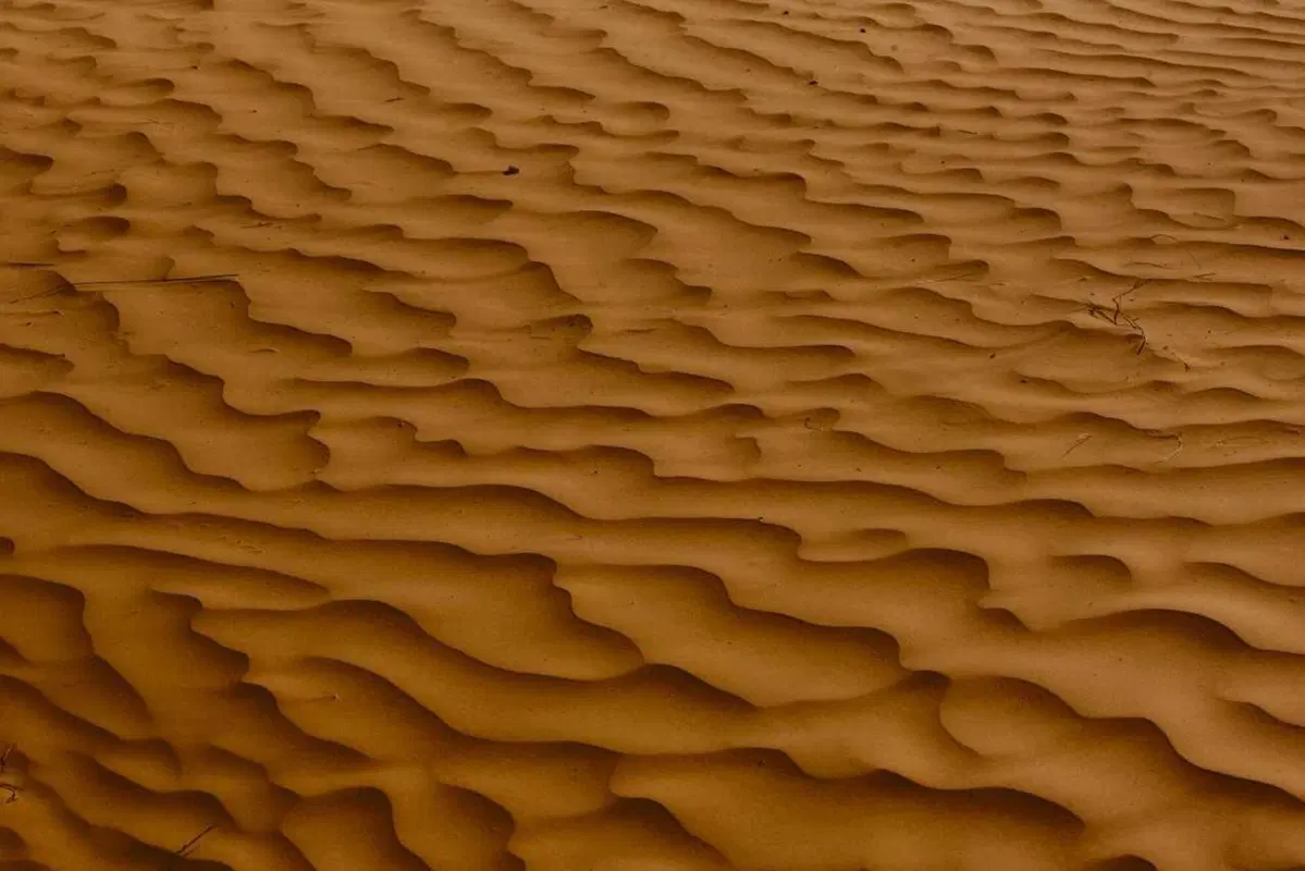 Tembaine Desert Rally 2025, prima tappa: vento contrario e batterie al limite verso Ksar Ghilane (52)