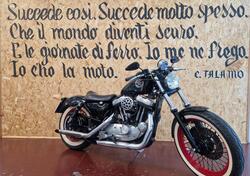 Harley-Davidson 883 Standard (1994 - 00) - XLH usata