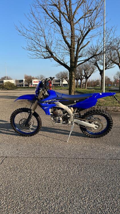 Yamaha YZ 250 F (2024)