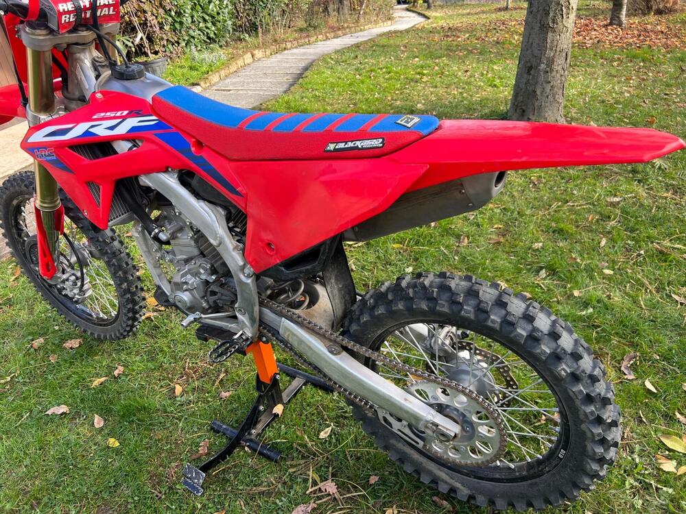 Honda CRF 250 R (2024) (4)