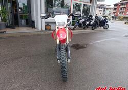 HM CRE F 300 R (2012 - 13) usata