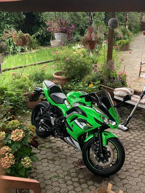 Kawasaki Ninja 650 (2025 - 26)