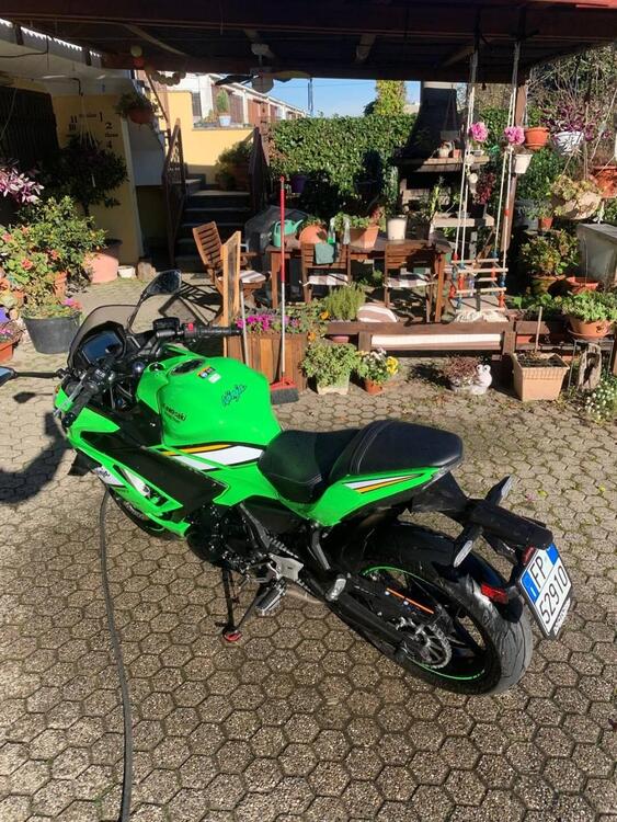 Kawasaki Ninja 650 (2025 - 26) (3)
