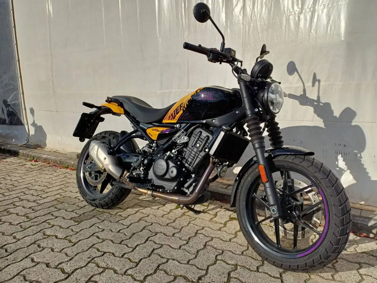 Royal Enfield Guerrilla 450 (2024 - 26) (13)