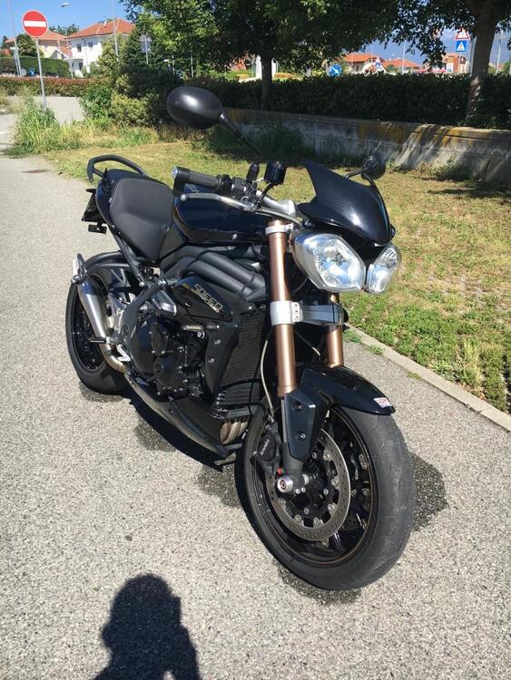 Triumph Speed Triple 1050 ABS (2011 - 15) (2)