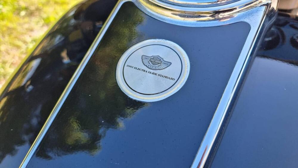 Harley-Davidson 1450 Electra Glide Standard (2001 - 03) - FLHT (5)