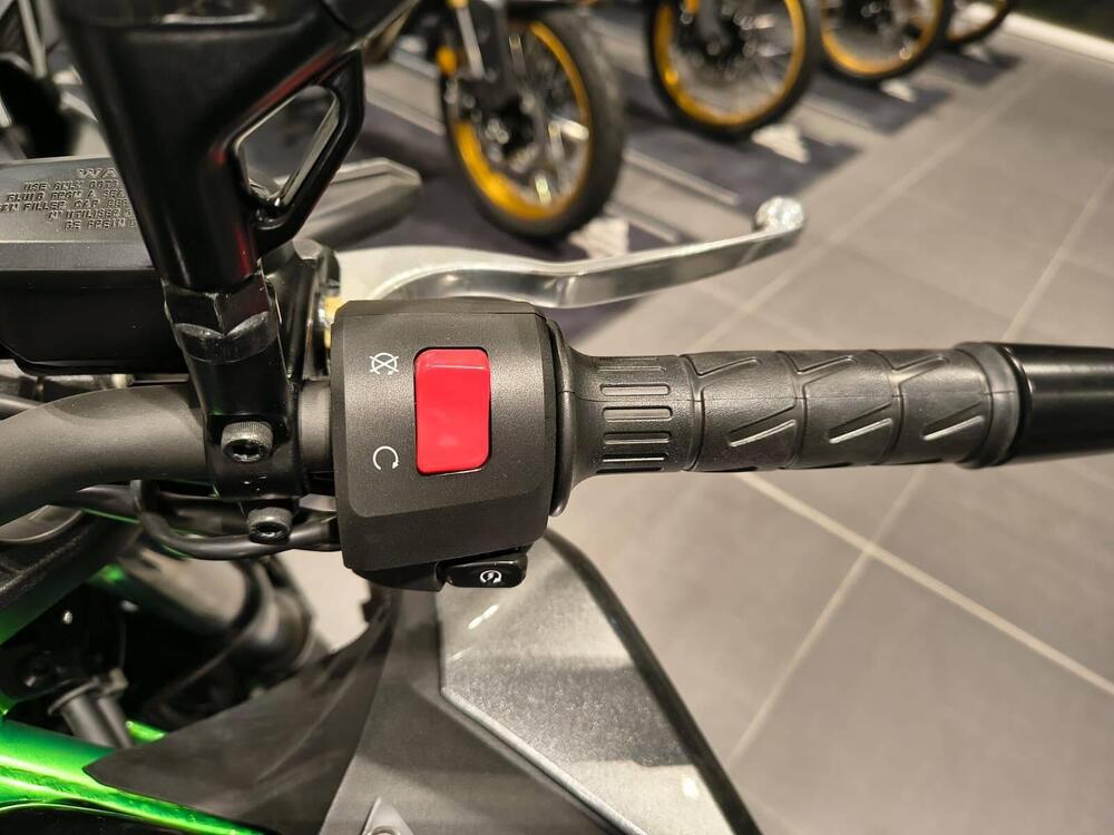 Kawasaki Z 500 SE (2024 - 26) (4)