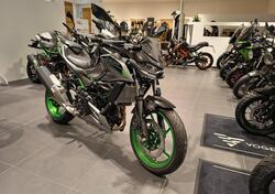 Kawasaki Z 500 SE (2024 - 26) usata