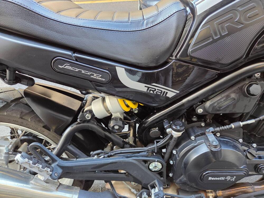 Benelli Leoncino 500 Trail (2021 - 25) (3)