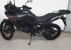 Honda Transalp XL750 (2023 - 24) usata
