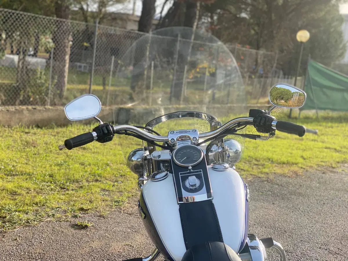 Harley-Davidson 1450 Deluxe (2005 - 06) - FLSTNI (6)
