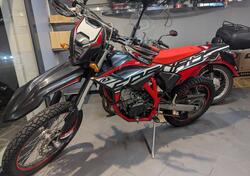 Betamotor RR 125 4T Enduro LC (2021 - 23) usata