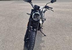 Ducati Scrambler 800 Icon (2023 - 25) usata