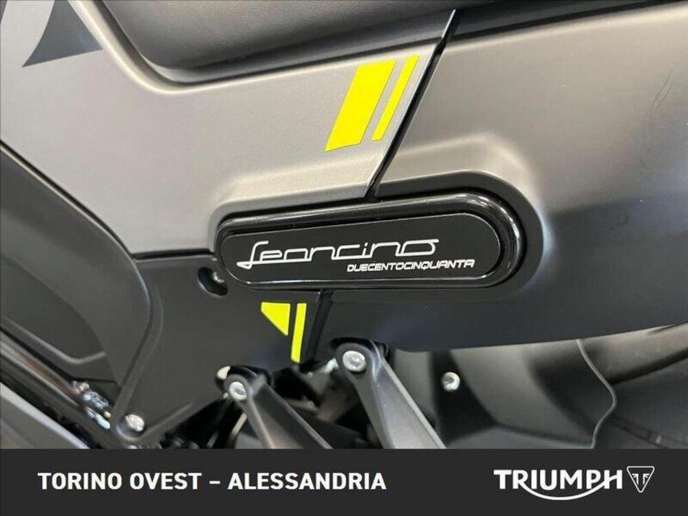 Benelli Leoncino 250 (2021 - 25) (5)