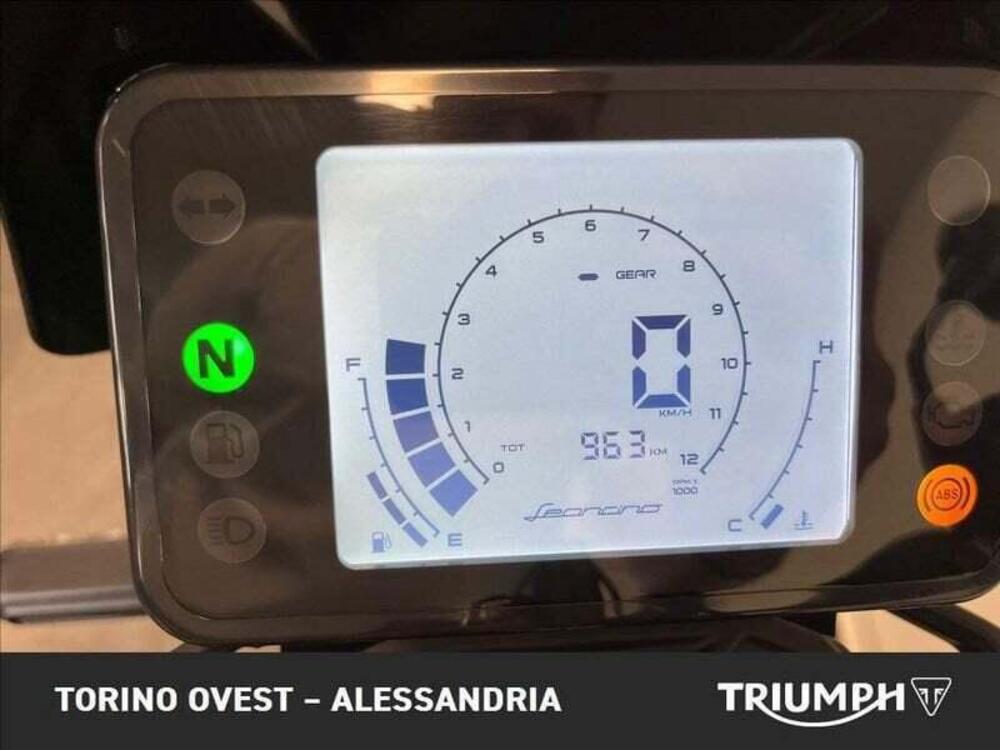 Benelli Leoncino 250 (2021 - 25) (4)