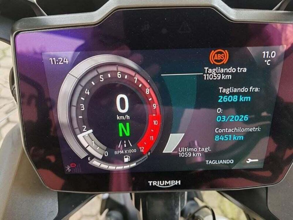 Triumph Tiger 900 GT (2024 - 25) (4)