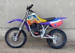  Altre moto o tipologie Minimoto usata