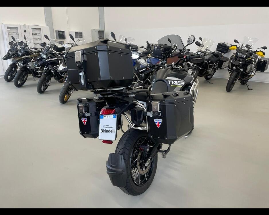 Triumph Tiger 900 Rally Aragón Edition (2023 - 24) (2)