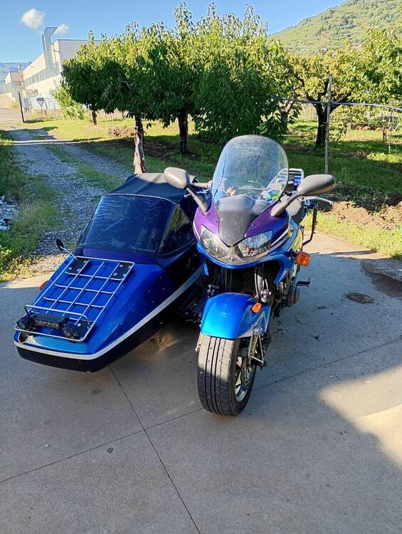 Kawasaki ZRX 1100 (1998 - 00) (2)